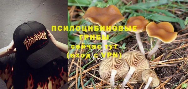 mdma Инсар