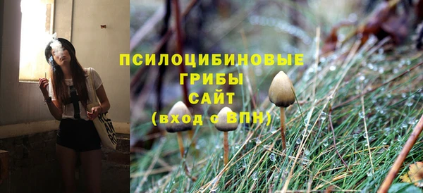 дмт Киров