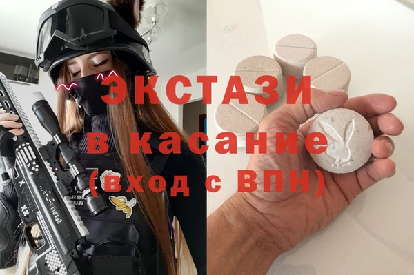 амф Каменка