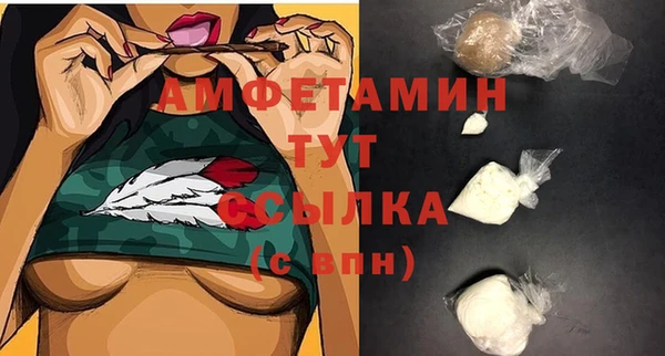 амф Каменка