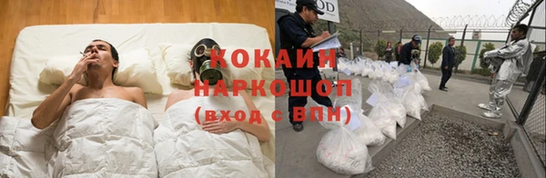 крисы Яранск