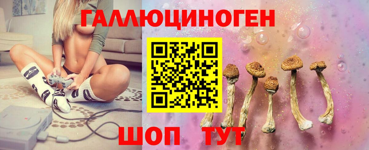 Дубна  Галлюциногенные грибы MAGIC MUSHROOMS  Вход с VPN 