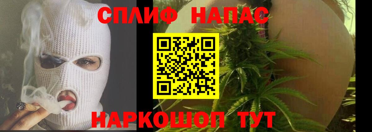 Бошки Шишки конопля Дубна
